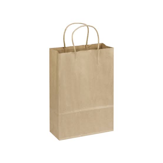 Brown Medium Bag with Twine Handle