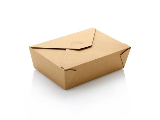 Bamboo Paper Lunch Box  120